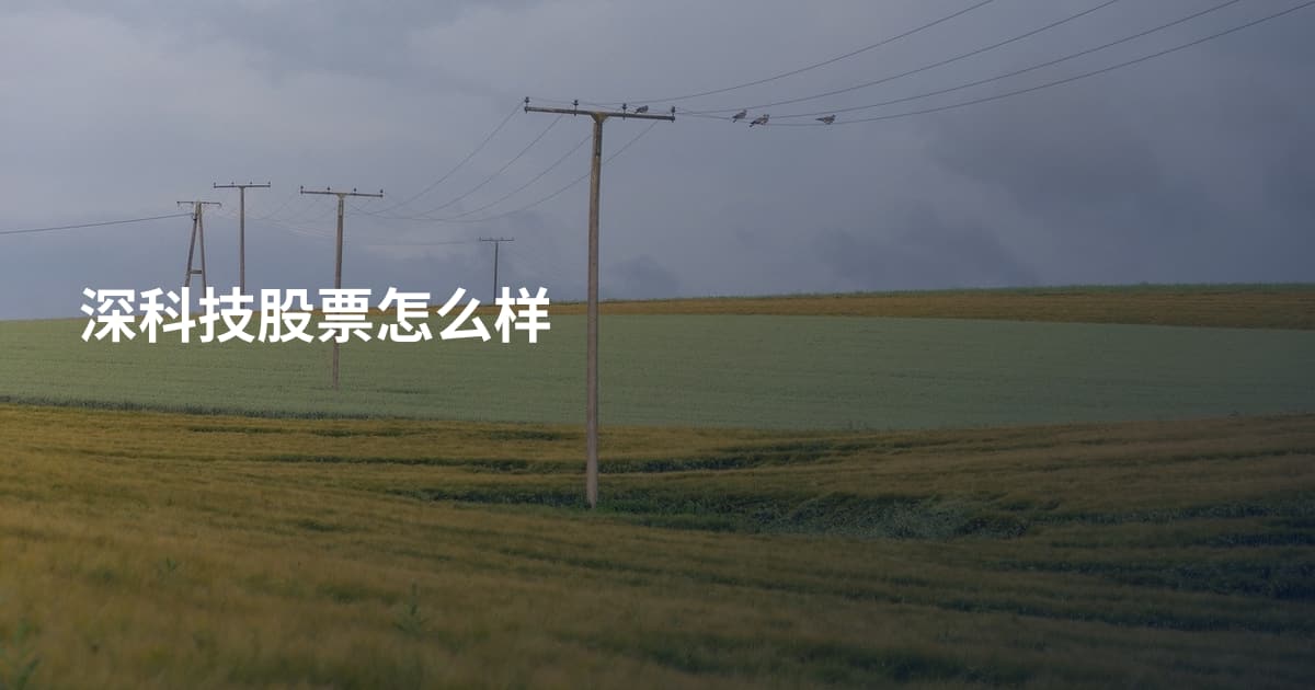 深科技股票怎么样