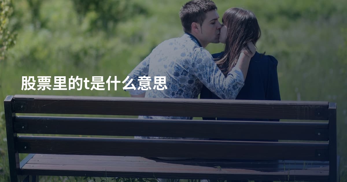 股票里的t是什么意思