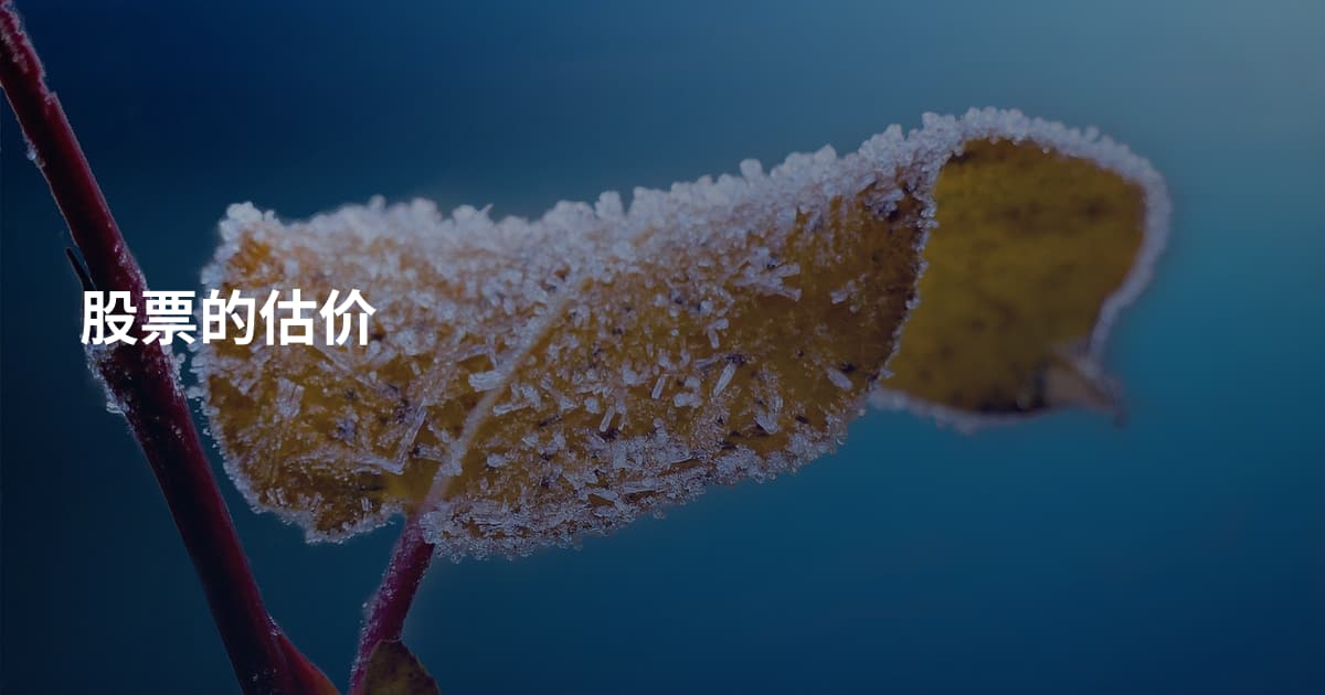 股票的估价