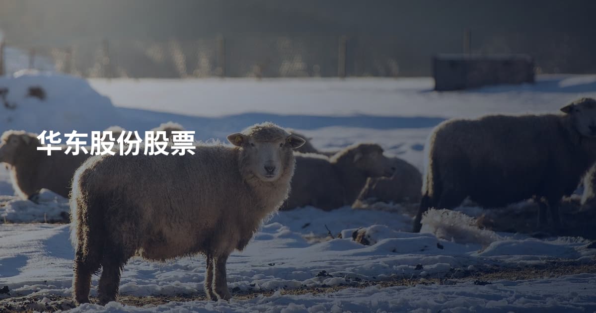华东股份股票