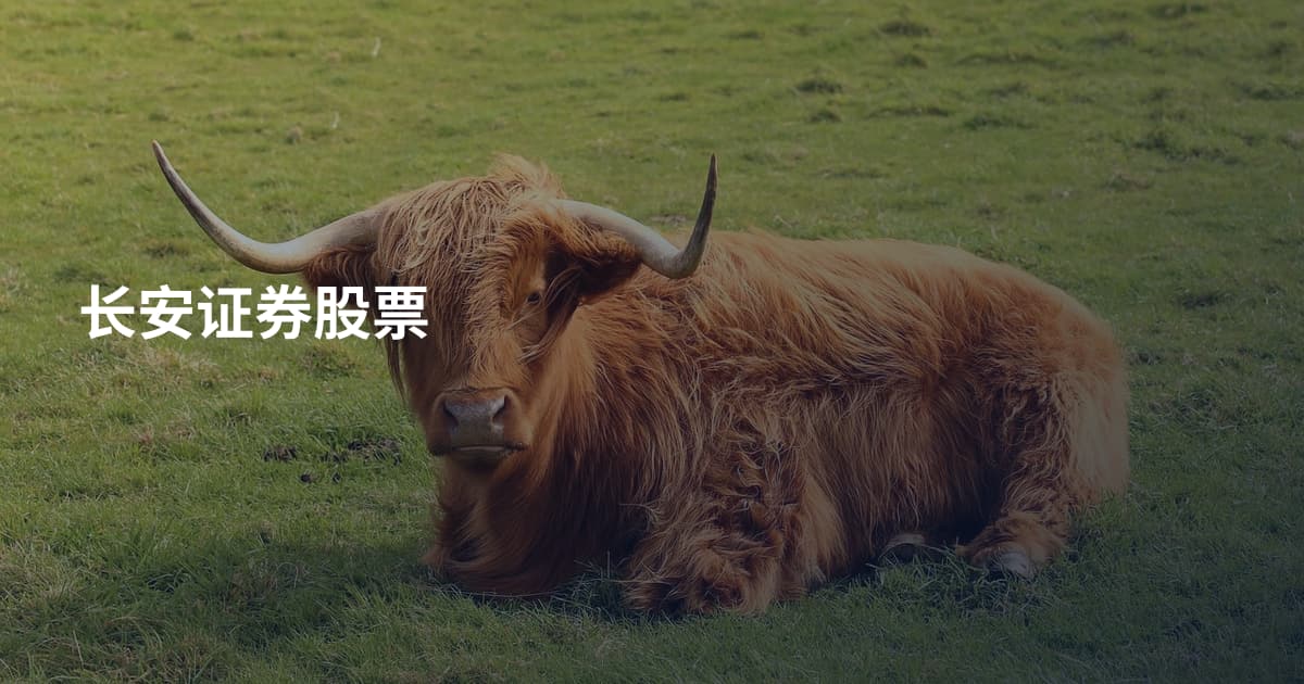 长安证券股票