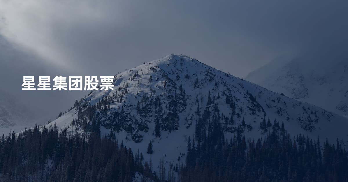 星星集团股票