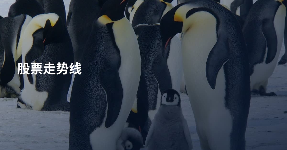 股票走势线