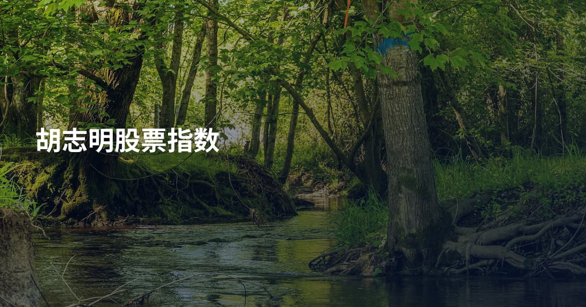 胡志明股票指数