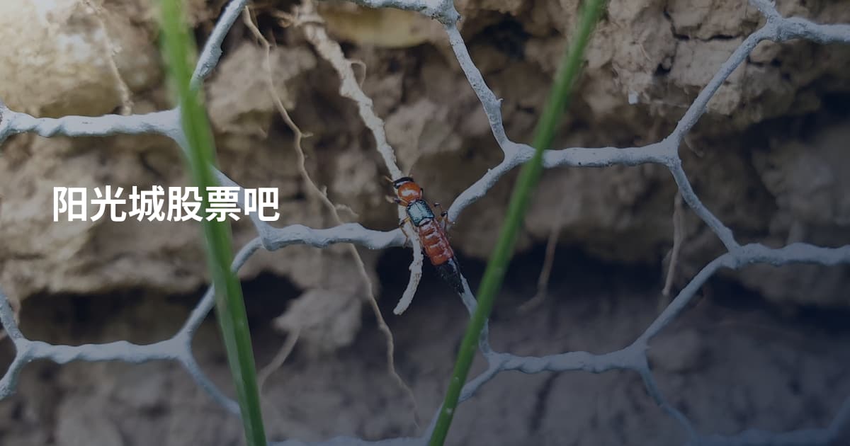 阳光城股票吧