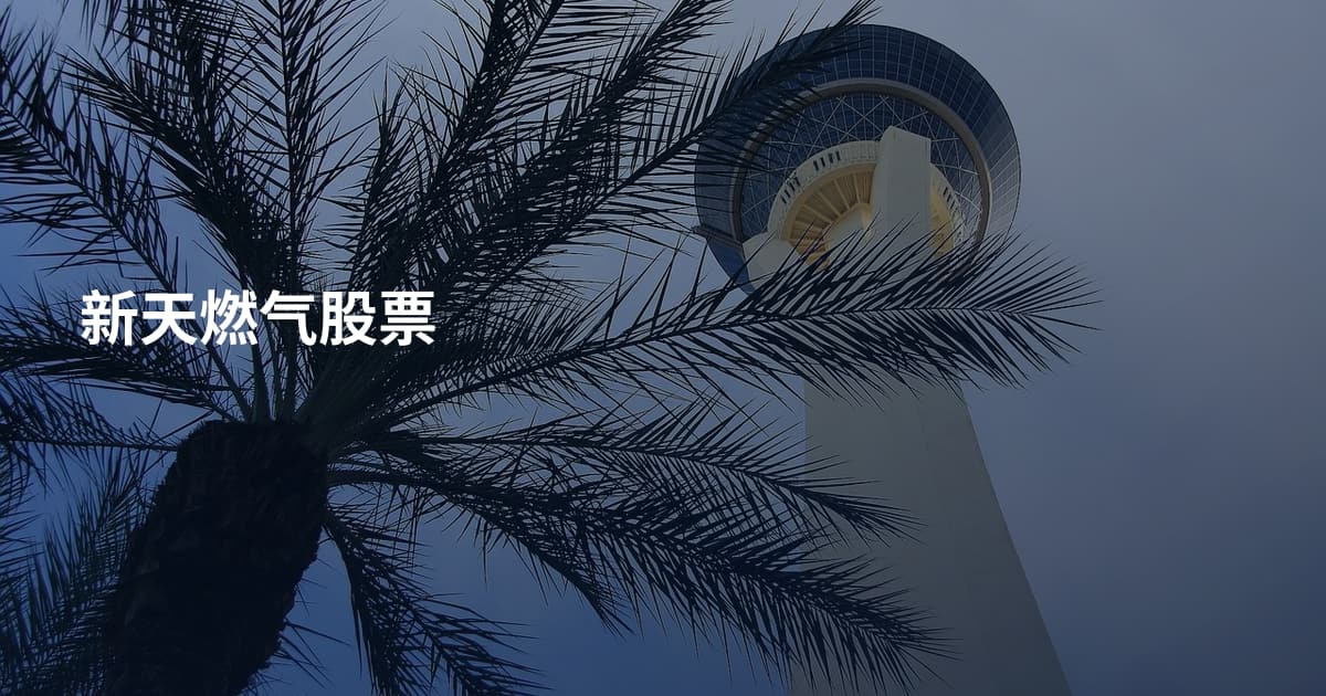 新天燃气股票