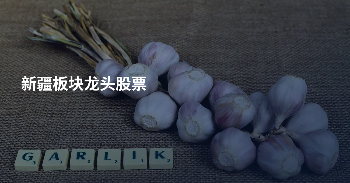 新疆板块龙头股票