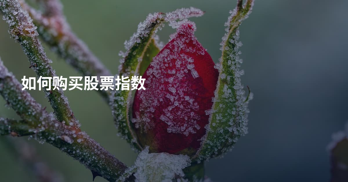 如何购买股票指数