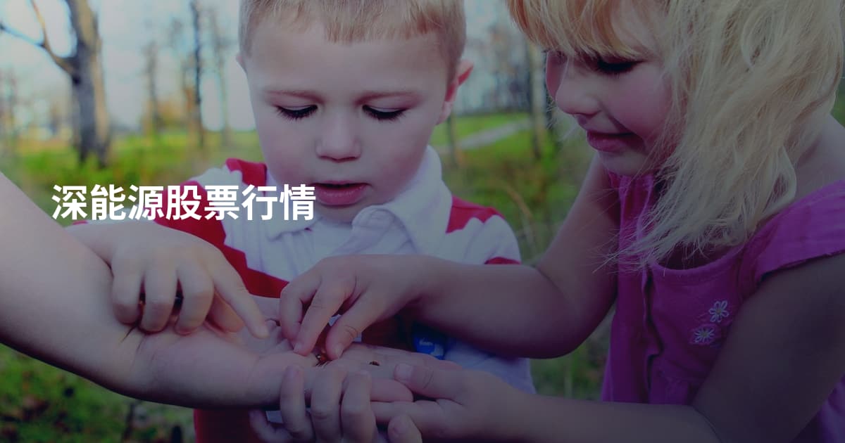 深能源股票行情