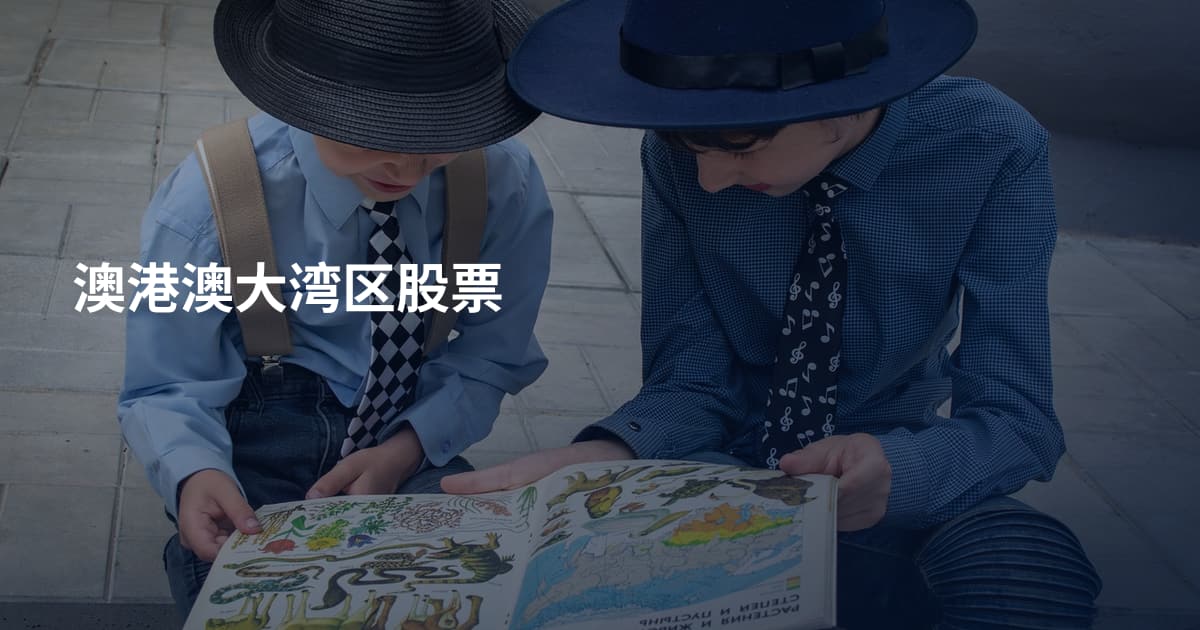澳港澳大湾区股票