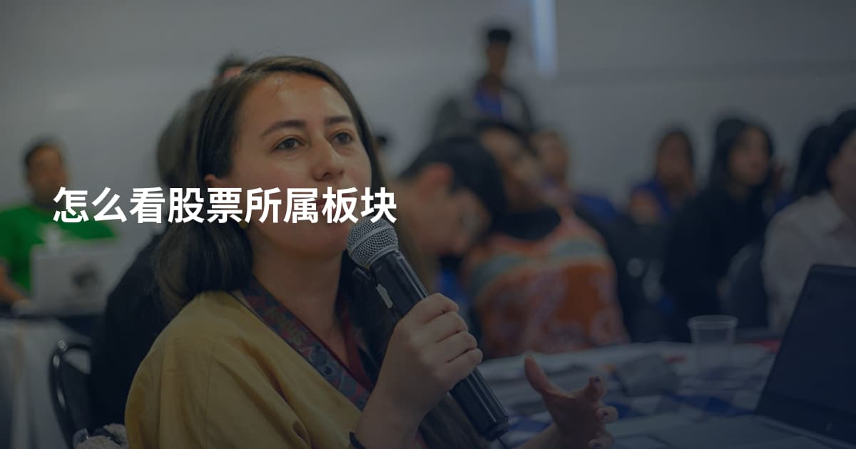 怎么看股票所属板块