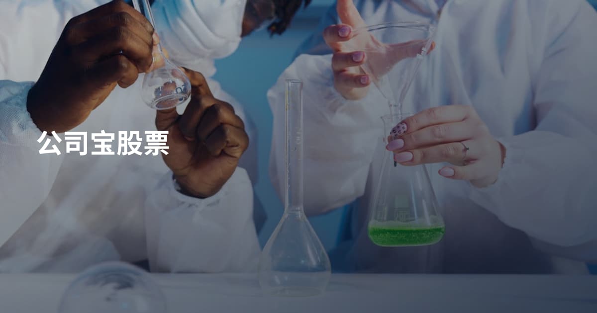 公司宝股票