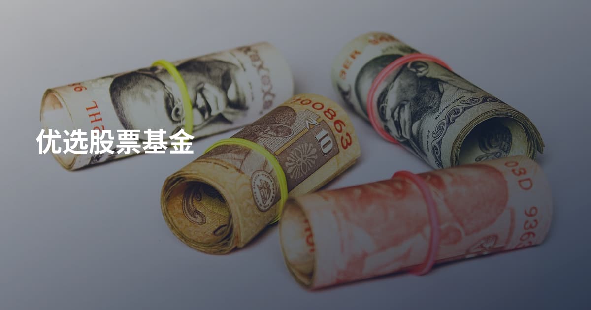 优选股票基金