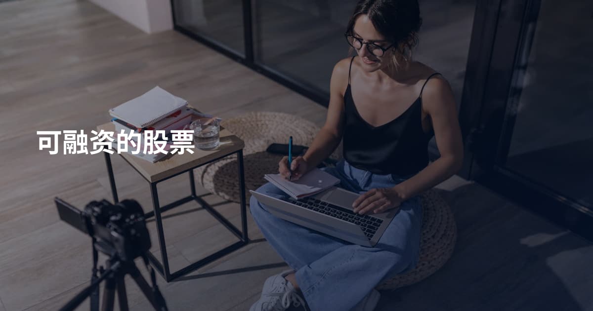 可融资的股票