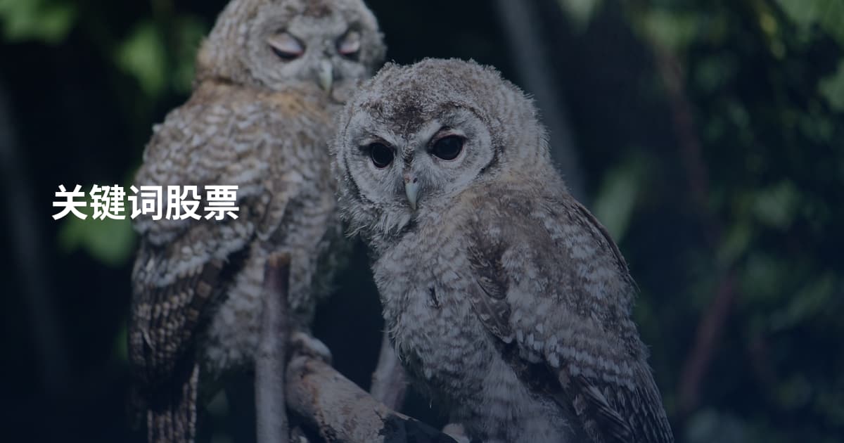 关键词股票