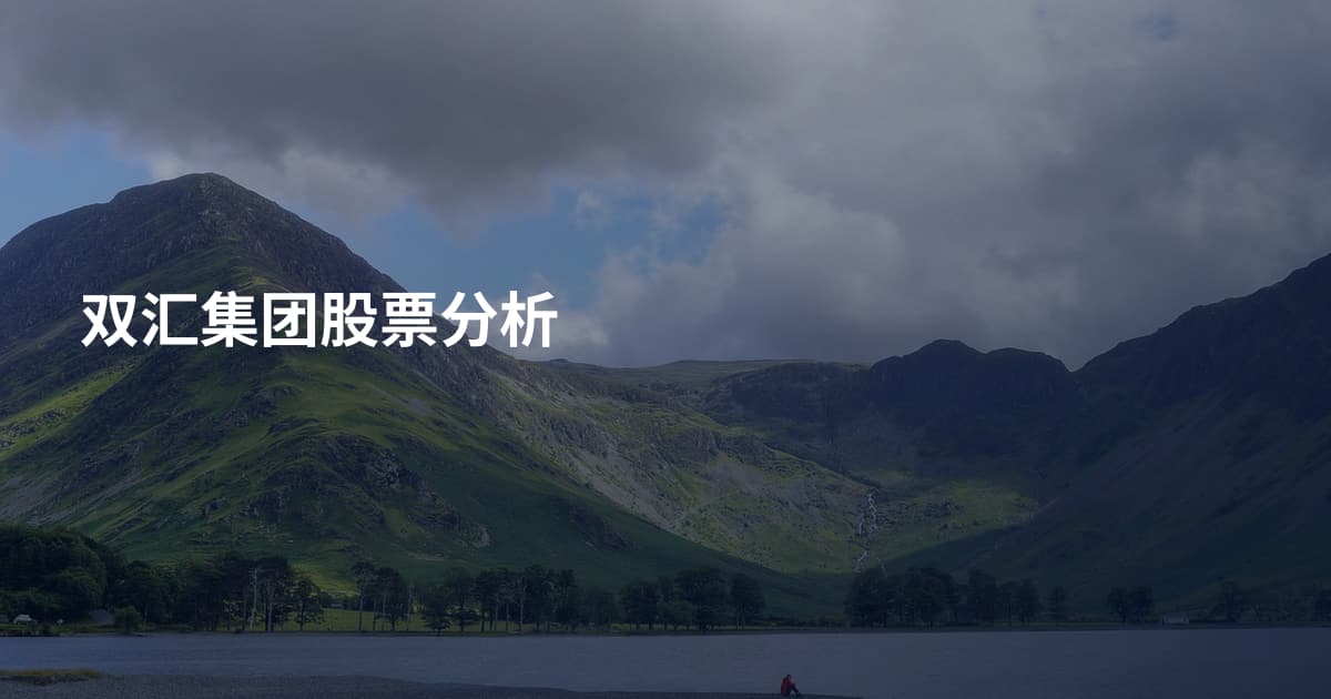双汇集团股票分析