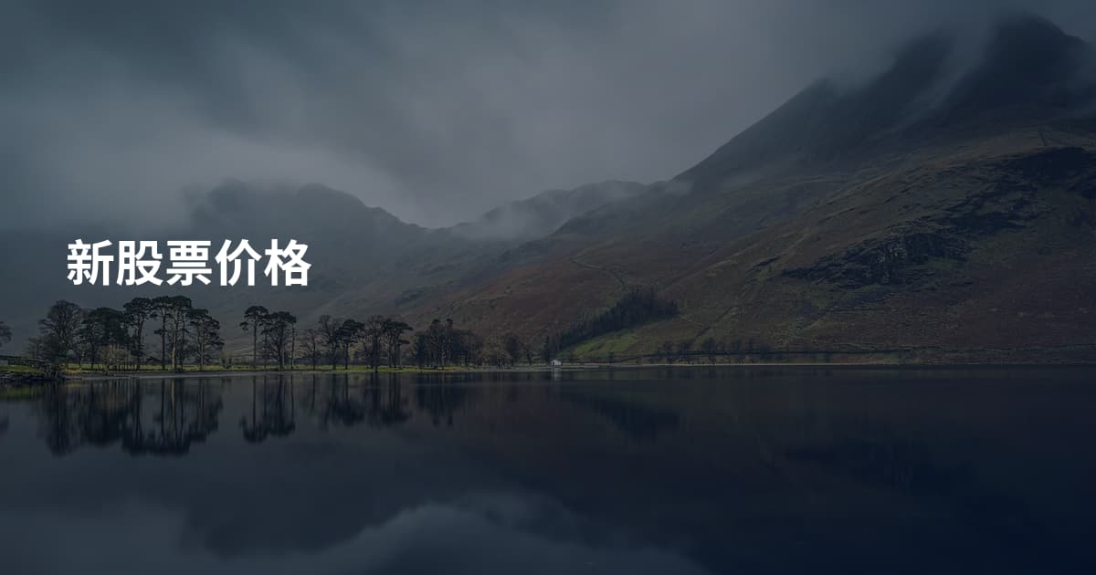 新股票价格