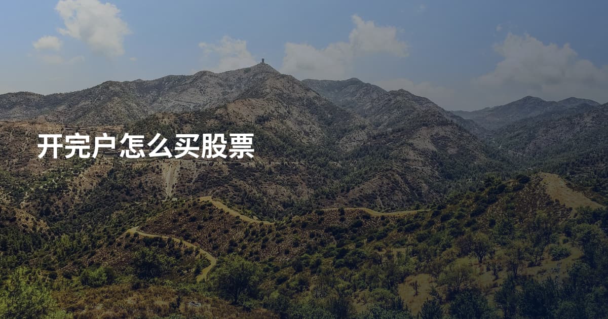 开完户怎么买股票