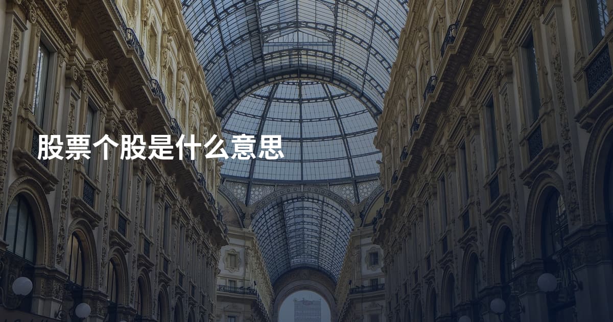 股票个股是什么意思