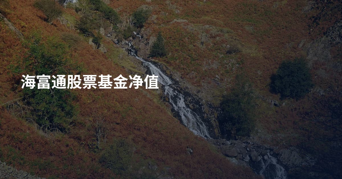 海富通股票基金净值