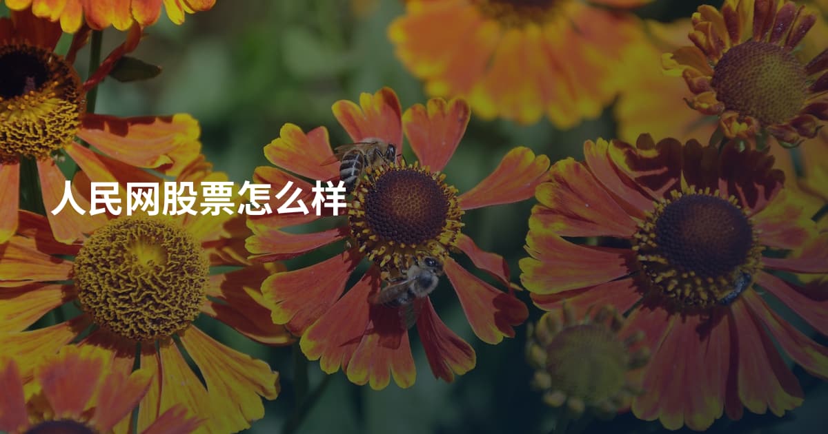 人民网股票怎么样