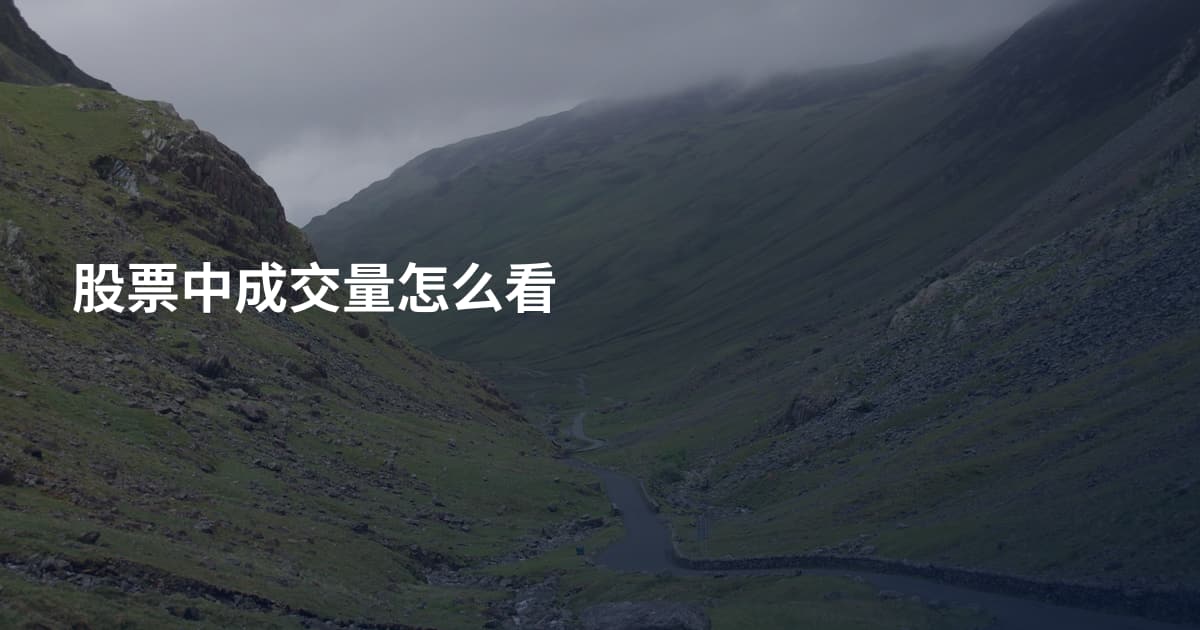 股票中成交量怎么看