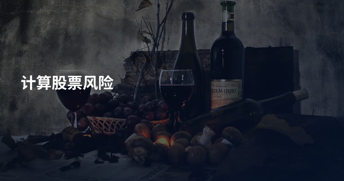 计算股票风险