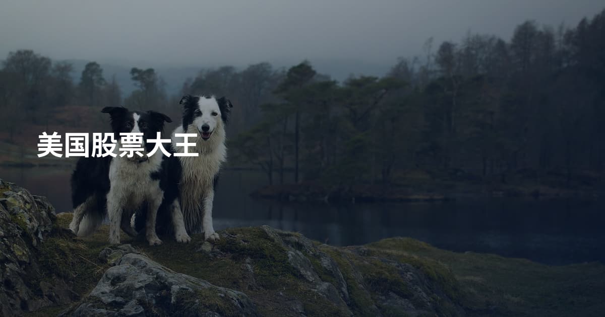 美国股票大王