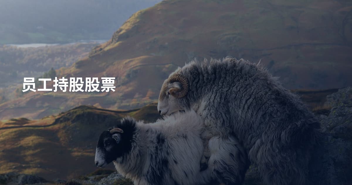 员工持股股票