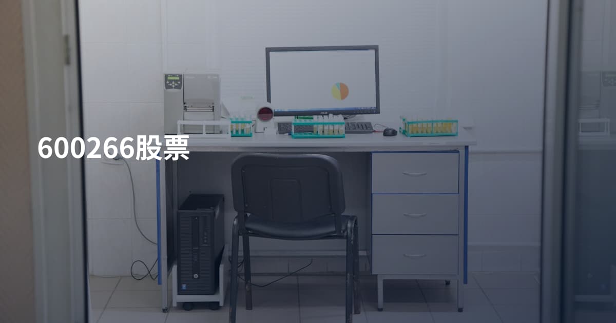 600266股票