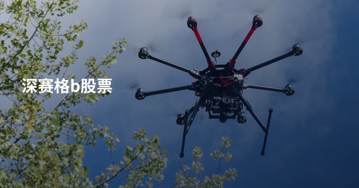 深赛格b股票