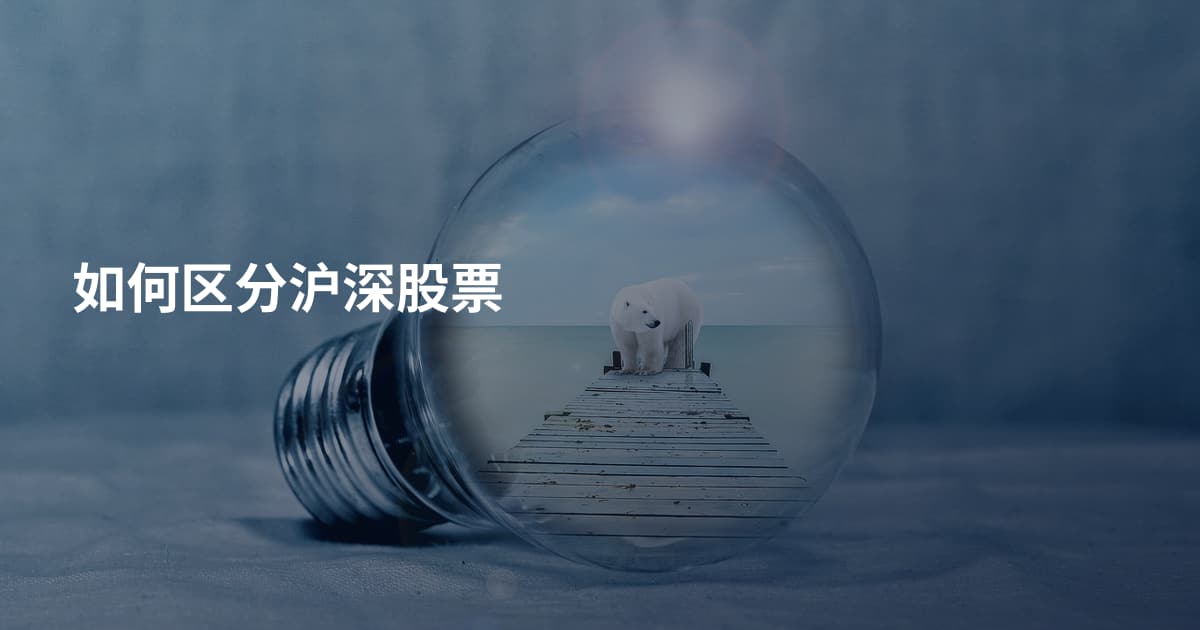 如何区分沪深股票