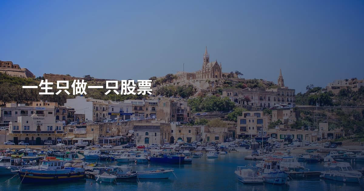 一生只做一只股票