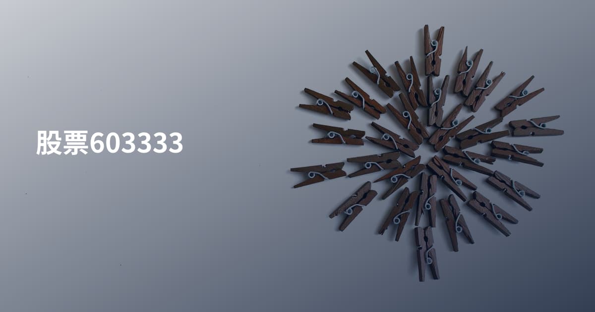 股票603333