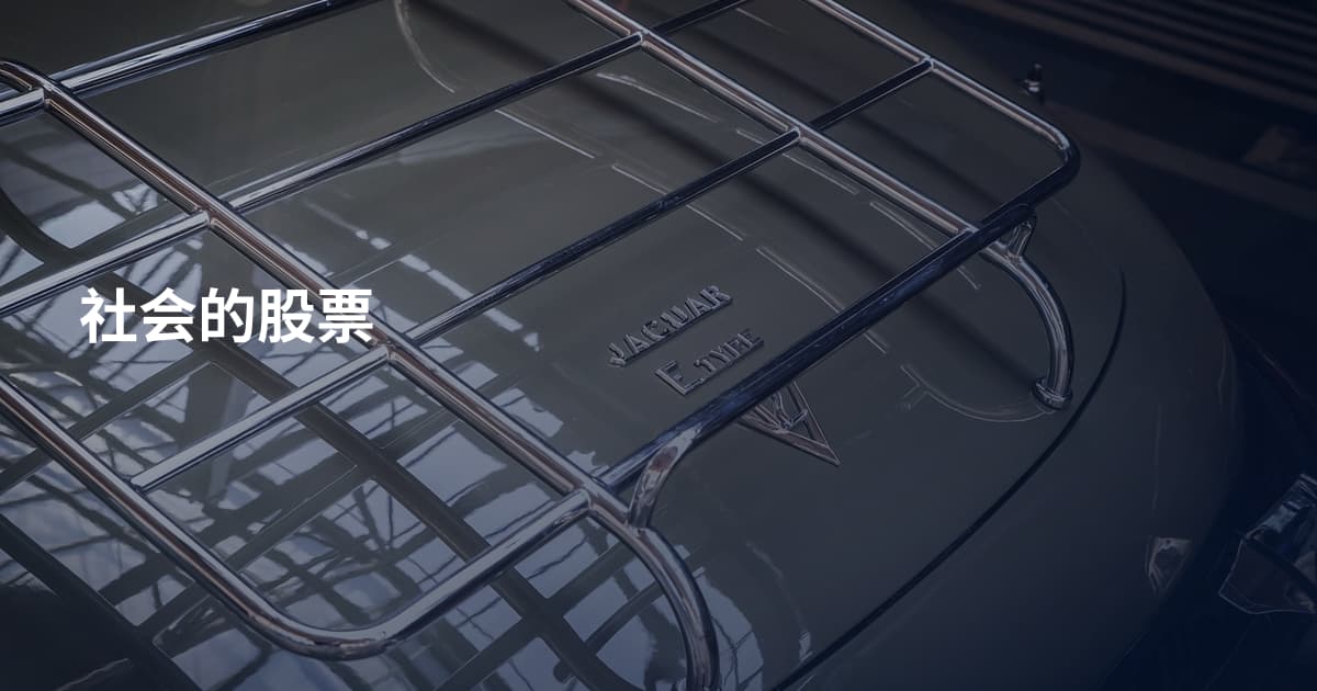 社会的股票