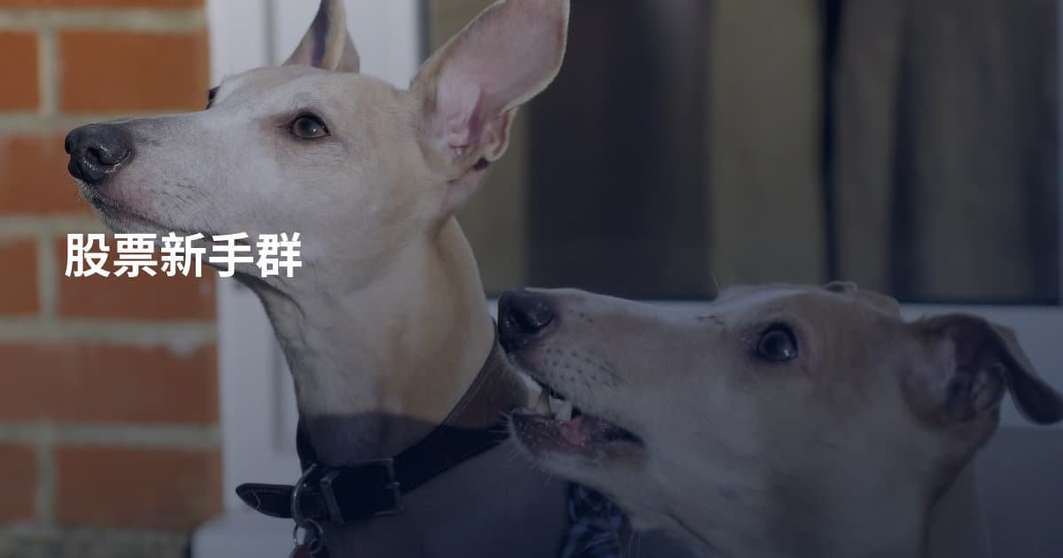 股票新手群