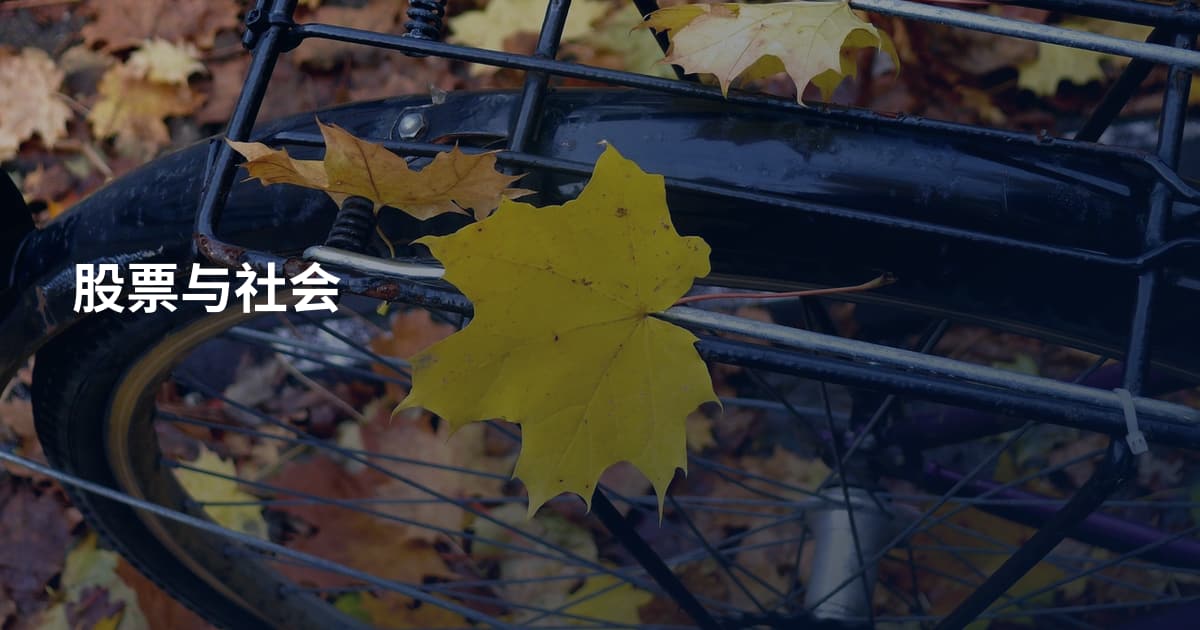 股票与社会