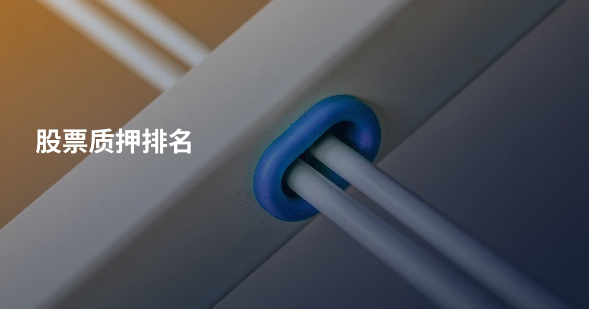股票质押排名
