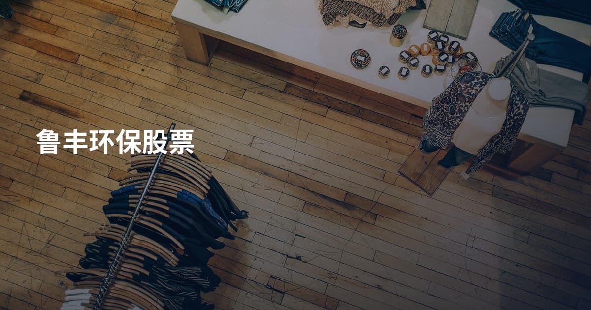 鲁丰环保股票