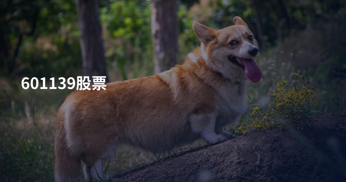 601139股票