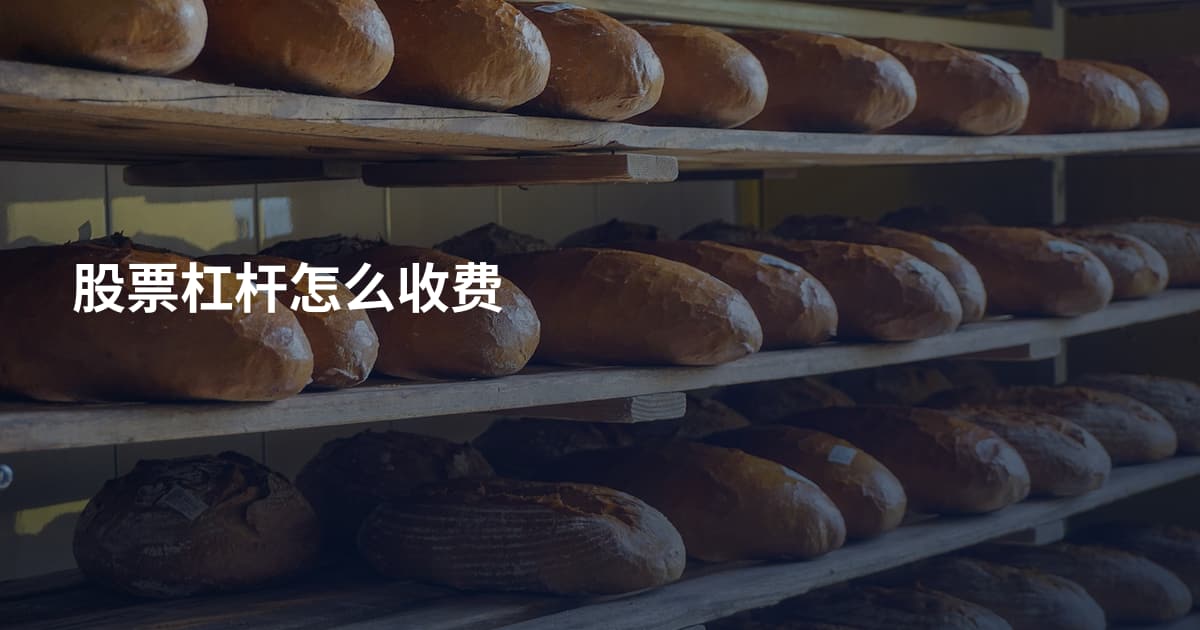 股票杠杆怎么收费