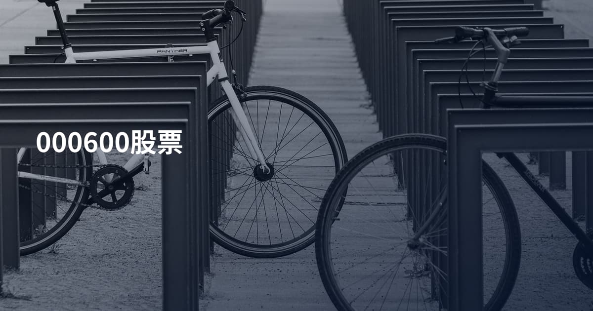 000600股票