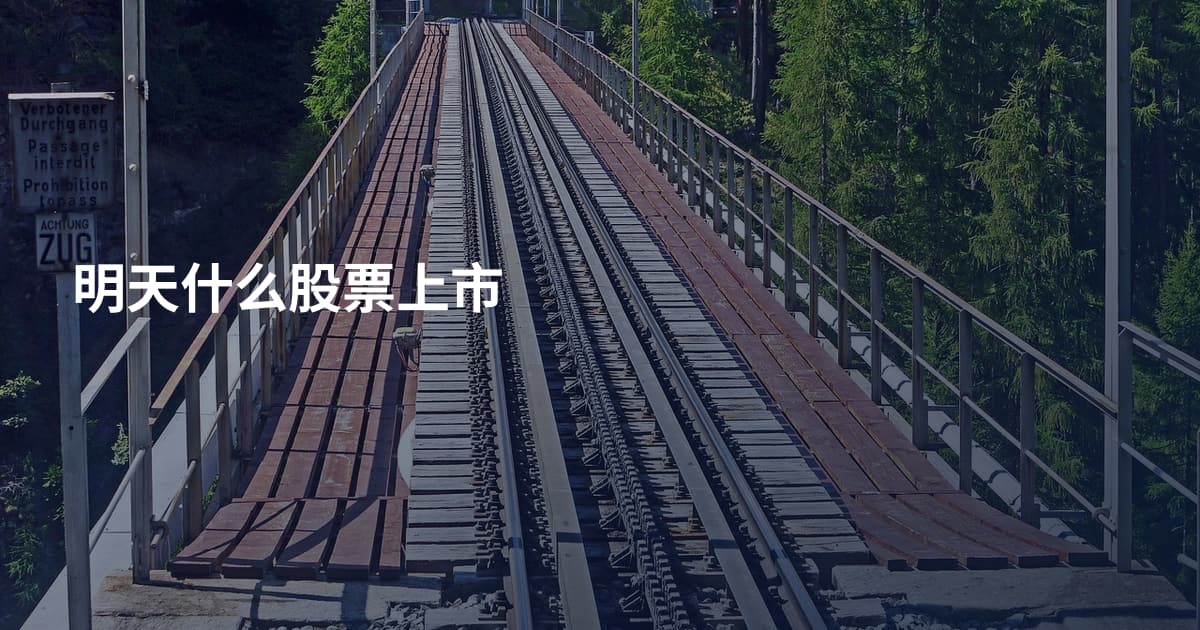 明天什么股票上市