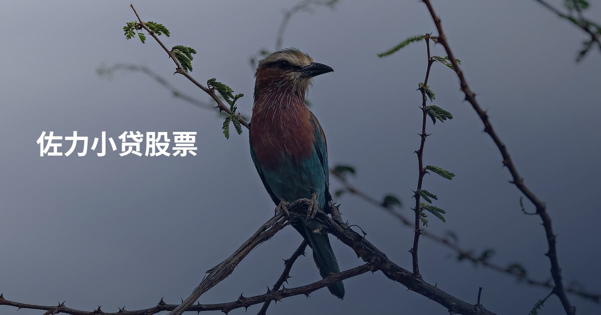 佐力小贷股票