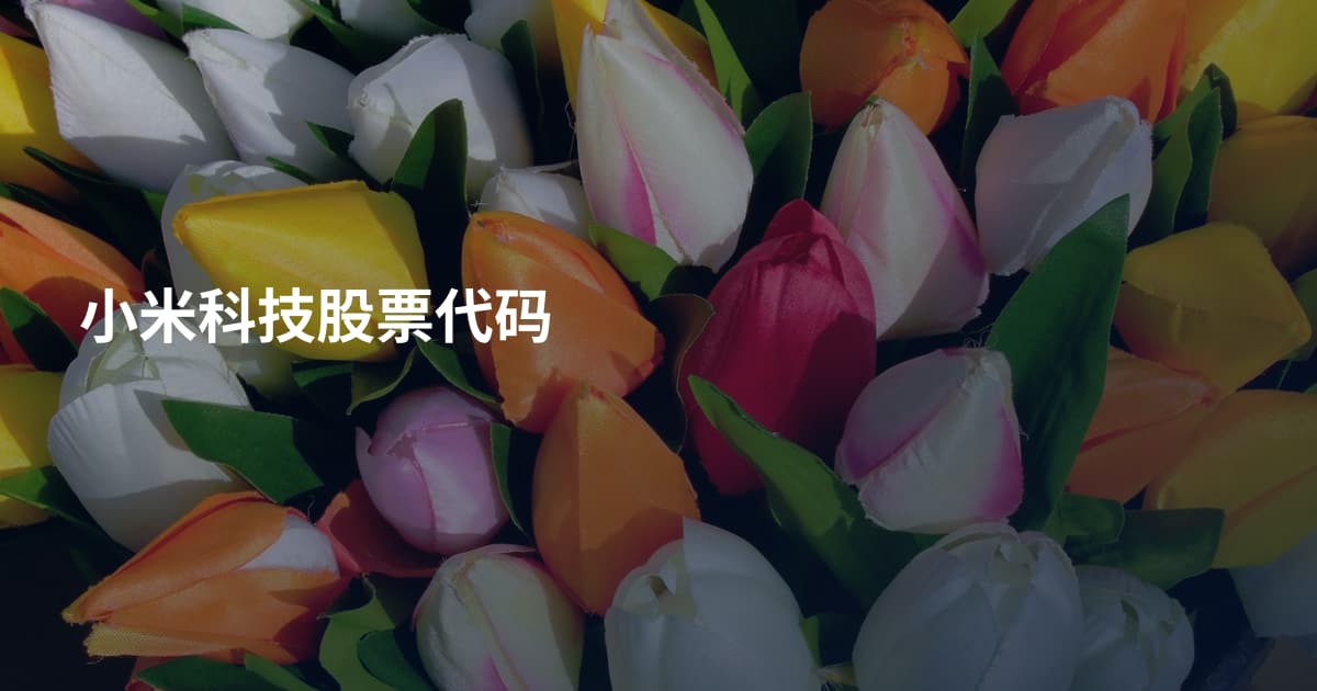 小米科技股票代码