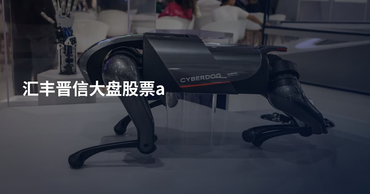 汇丰晋信大盘股票a