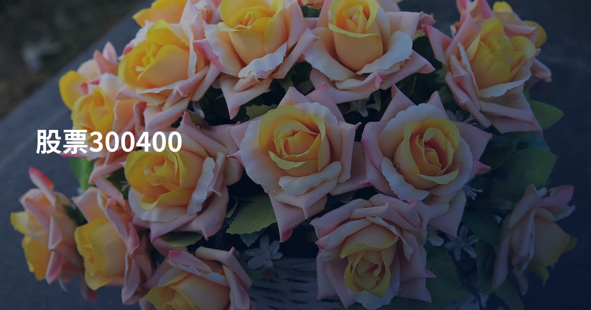 股票300400