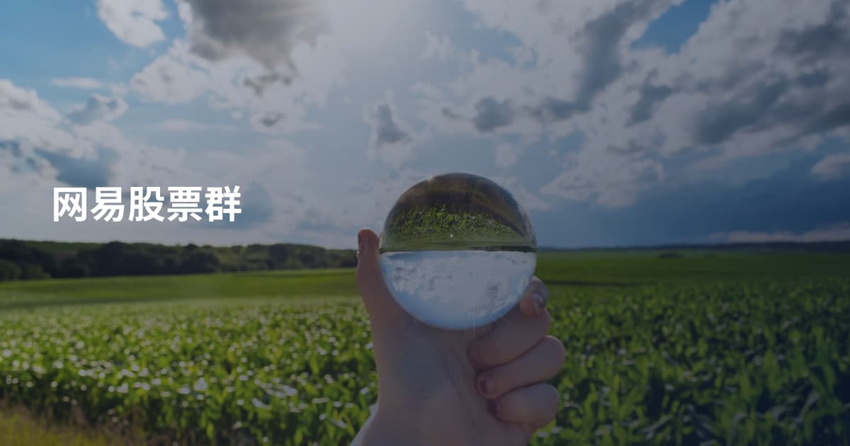 网易股票群