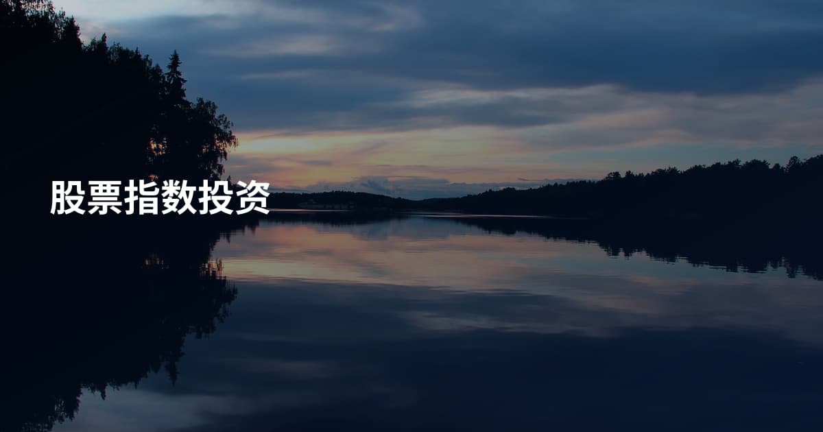 股票指数投资