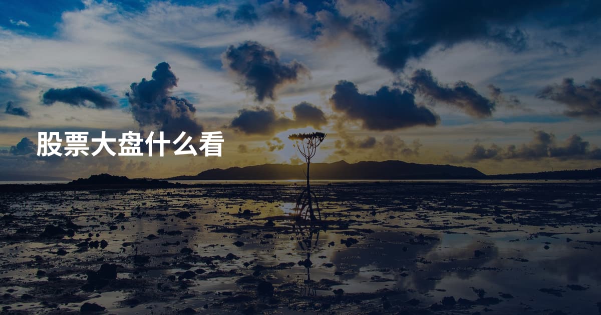 股票大盘什么看